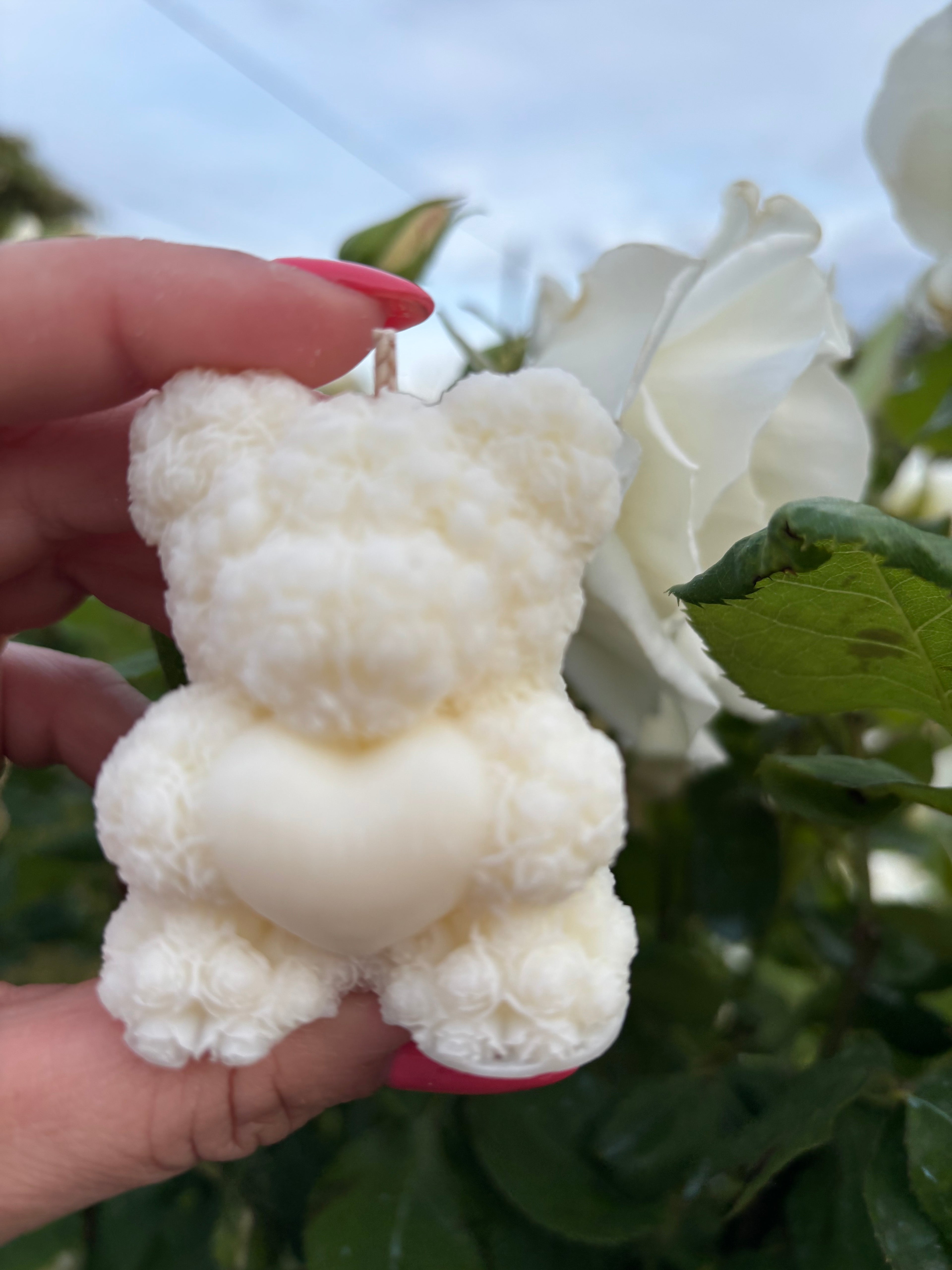 Teddy Cuore
